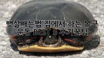 뱃살빼는법🔥 집에서 하는 복근 운동 BEST 5 (후기&꿀팁)