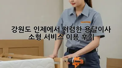 강원도 인제에서 저렴한 용달이사 소형 서비스 이용 후기