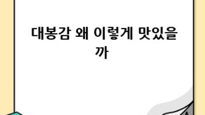 🧡 달콤함이 톡톡! 인생 대봉감 추천 BEST 5 🥇