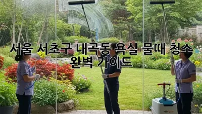 서울 서초구 내곡동 욕실 물때 청소 완벽 가이드